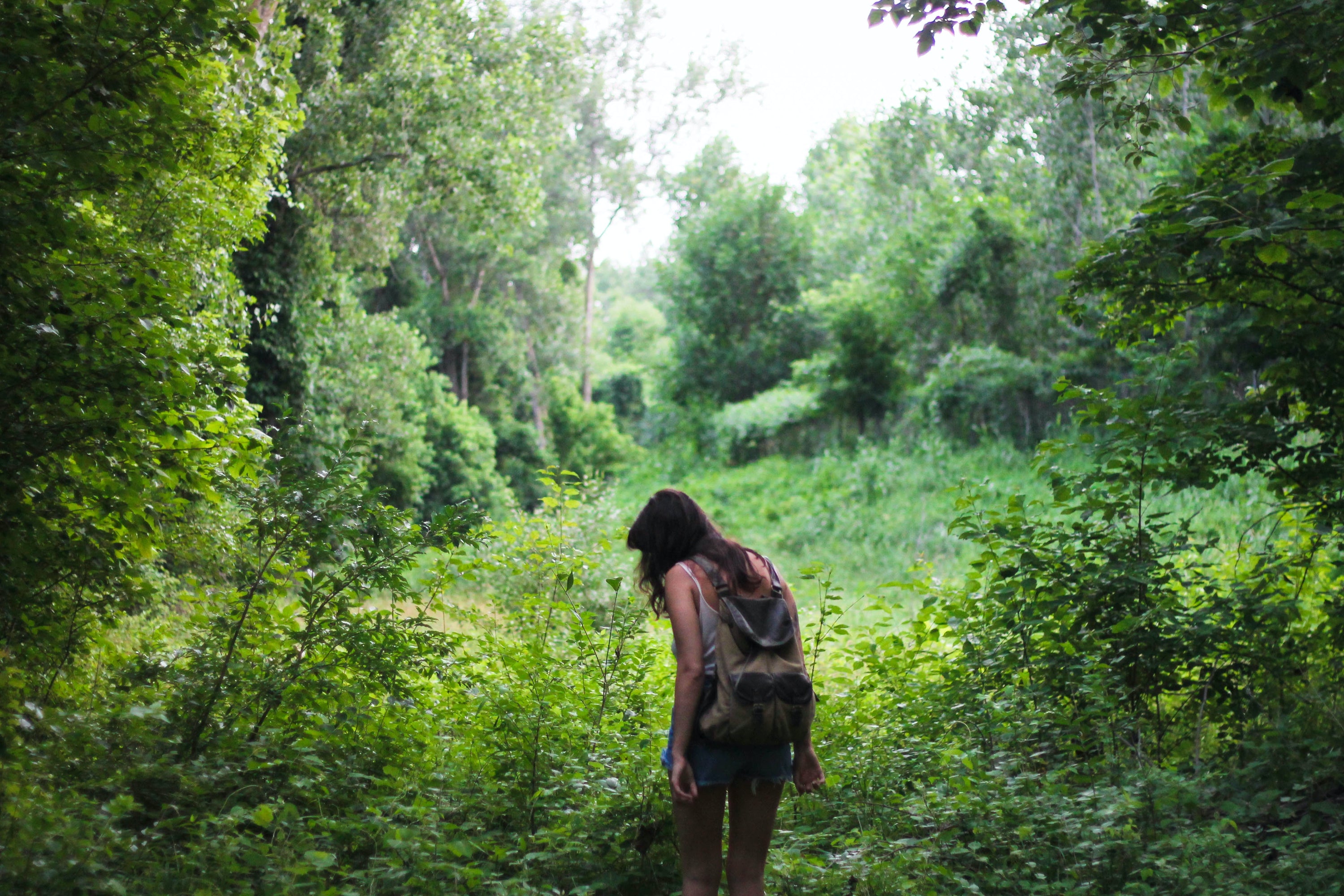 Djevojka šeta šumom